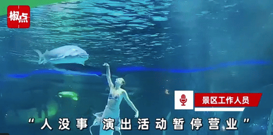 1000014965.gif